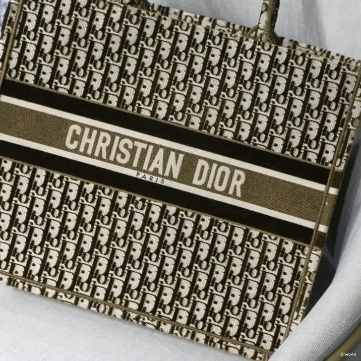 20FY11134 Bag Dio 0522